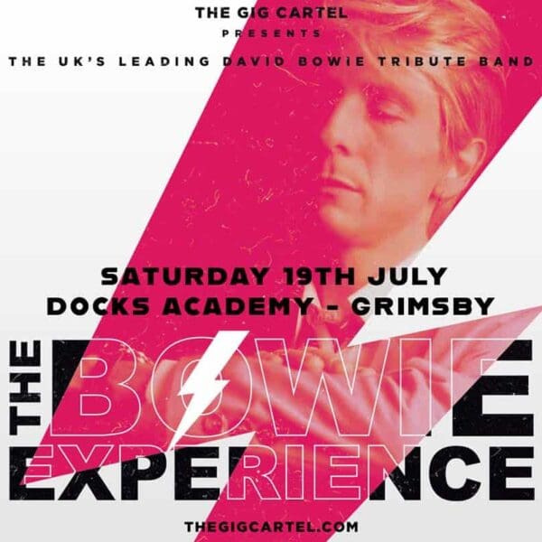 Bowie Experience 872 Bowie Experience 872