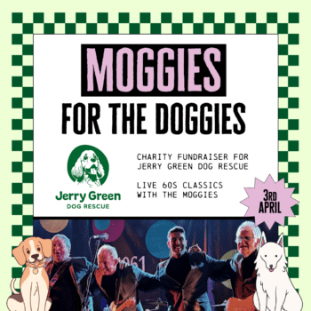 Moggies-for-the-Doggies-sq
